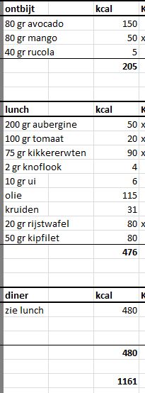 kcal berekenen per dag